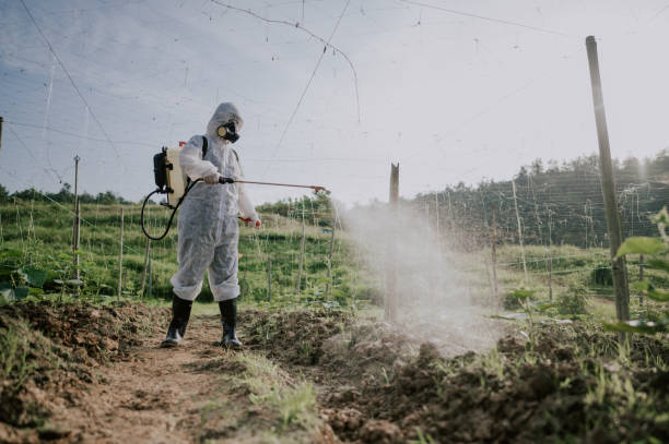 Best Affordable Pest Control Services  in Greensburg, PA