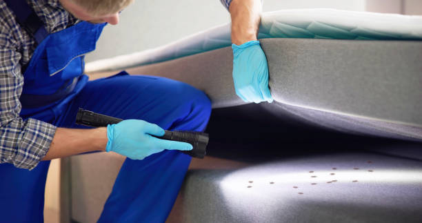 Professional Pest Control in Greensburg, PA