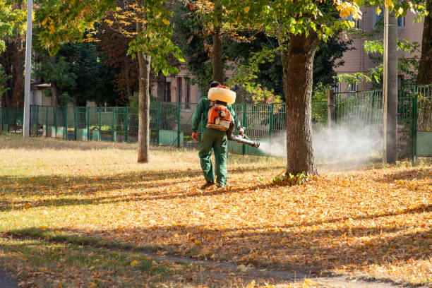 Best Pest Prevention Services  in Greensburg, PA