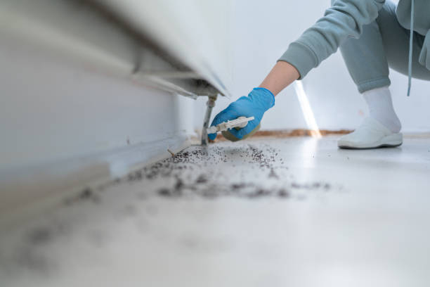 Best Residential Pest Control  in Greensburg, PA